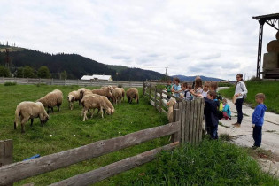 Letný denný anglický tábor pre deti